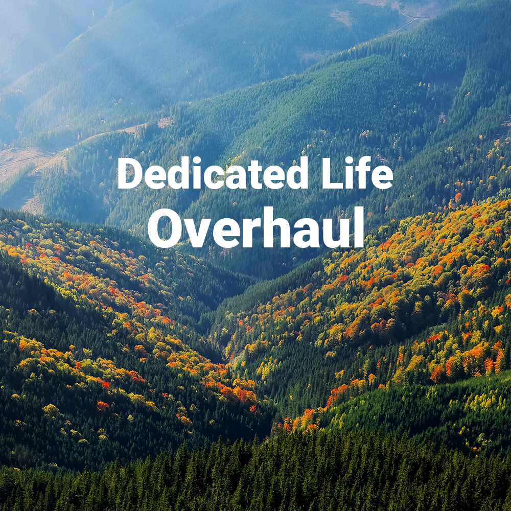 Dedicated Life Overhaul