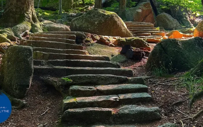 ENDINGS & BEGINNINGS